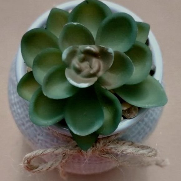 Old East Main Co. Faux Imitation Fake Succulent Plant & Ceramic Vase Gray White - Picture 8 of 9